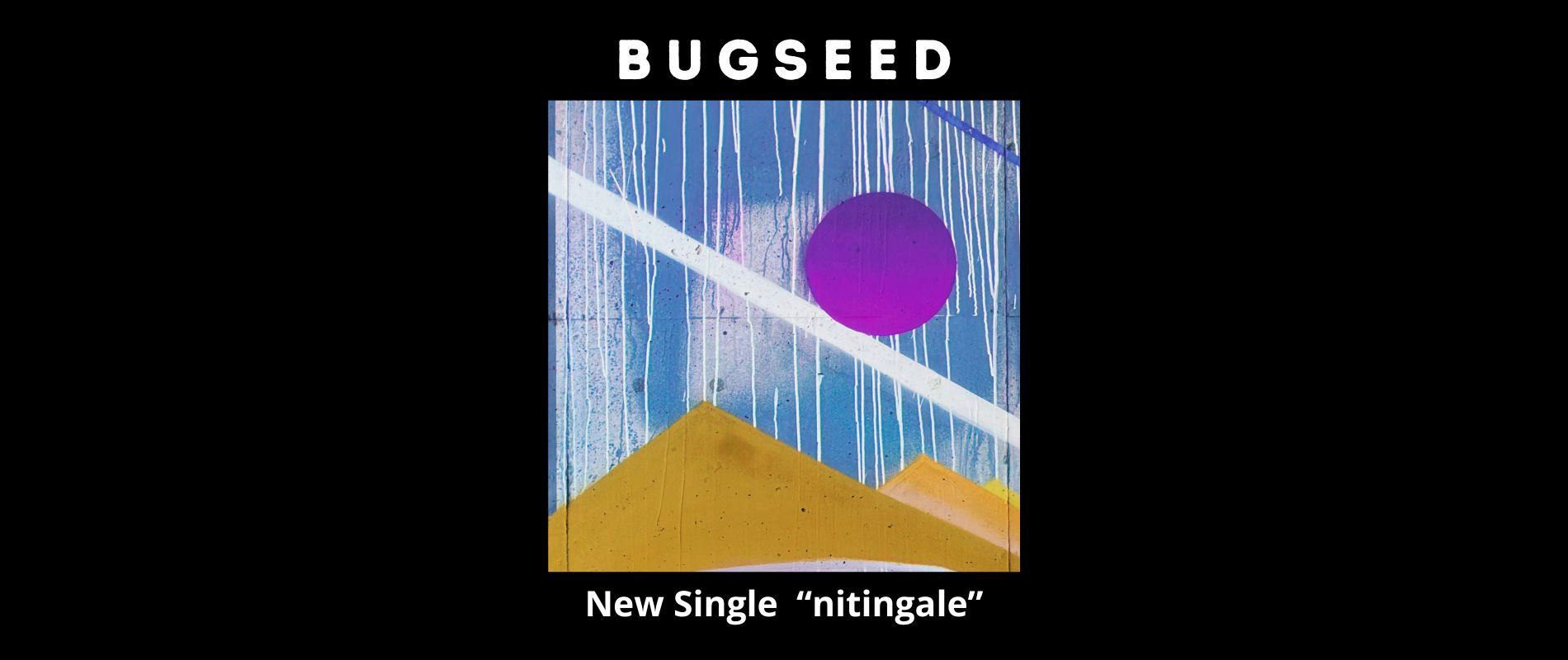 Bugseed - new single nitingale chill lo_fi hip hop jazz beats