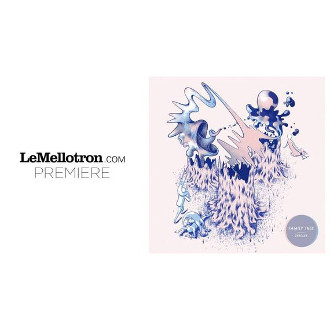 Le Mellotron exclu le nouveau single de Zerolex 'Familly Tree' - electronic music, future beats, hip hop