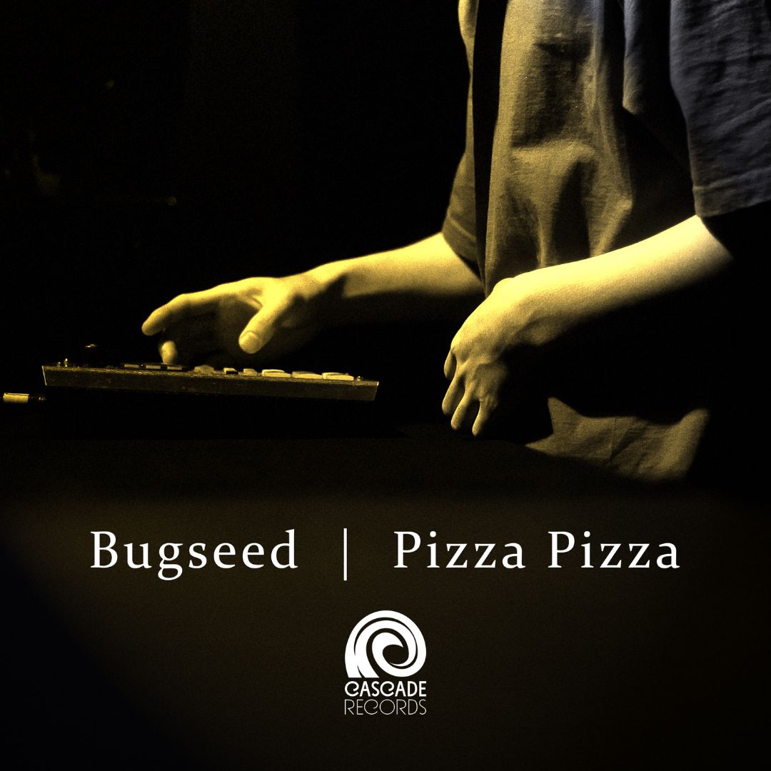 Bugseed - Pizza Pizza - 10th Anniversary Edition Cover lofi hip hop beats