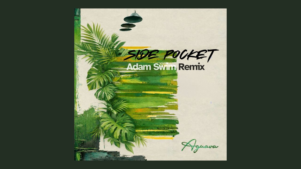 Aguava - Side Pocket remix adam Swim Banner lofi house music